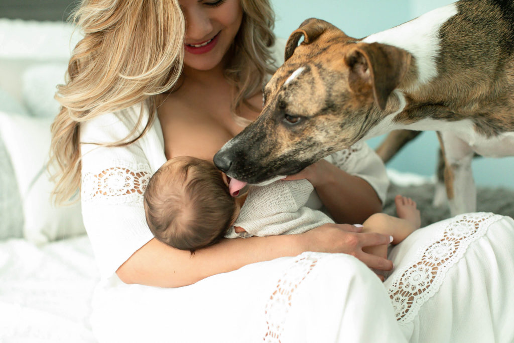 Let your pets join in on your in home newborn photography session with Northern Virginia newborn photographer, Stephanie Honikel Photography.