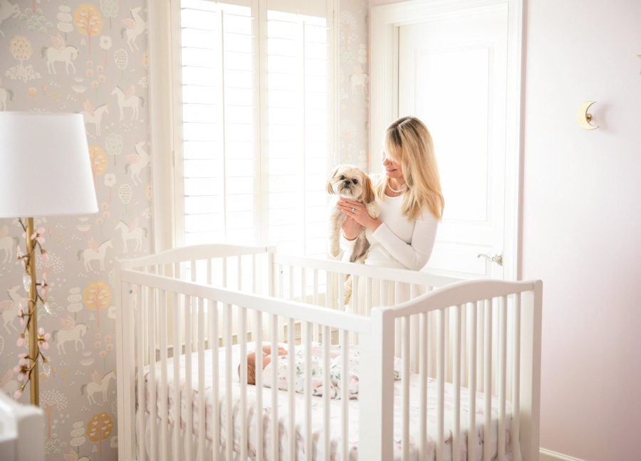 twins, a mom, and a puppy in their nursery, captured by a northern Virginia newborn photographer