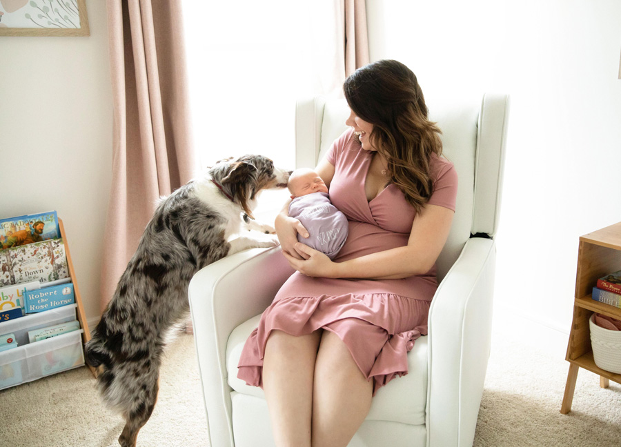 A dog sniffing a newborn baby during an in-home newborn session in Northern Virginia. 