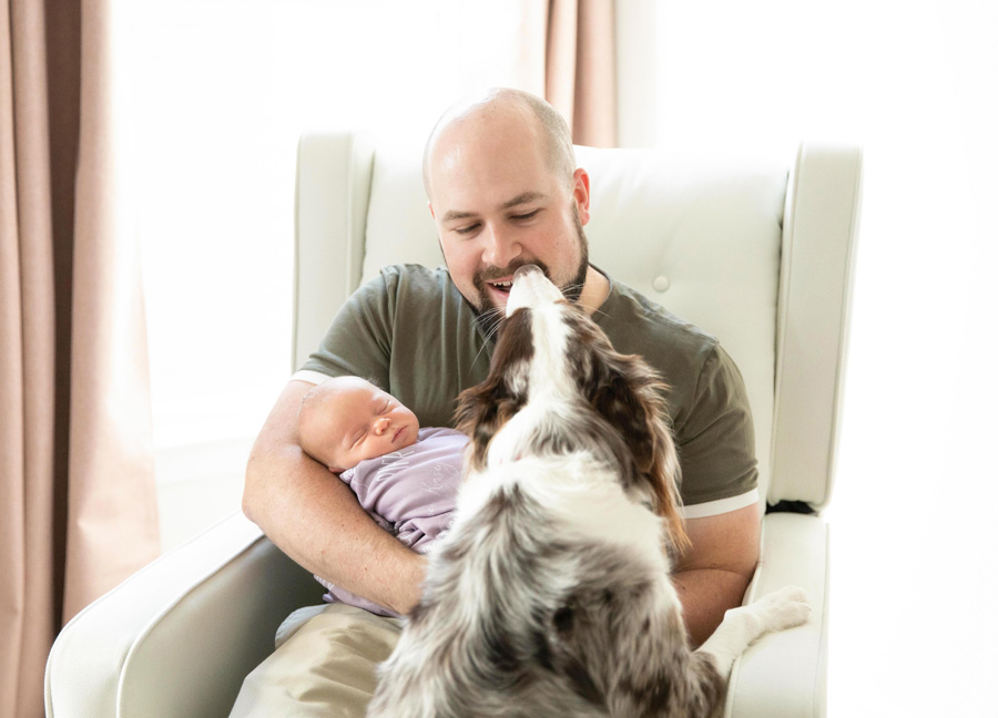 prepare your pets for a new baby by including them in the photo session, this photo shows a man holding his baby and a dog kissing his face