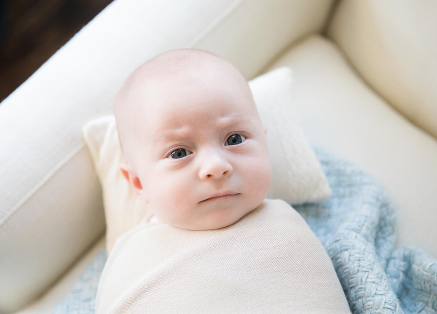 A swaddled baby posed on a sofa in the family room during a DC in home newborn photography session. 