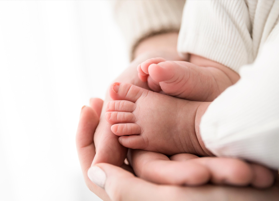 Hands with baby feet during a newborn photography session with Stephanie Honikel Photography.