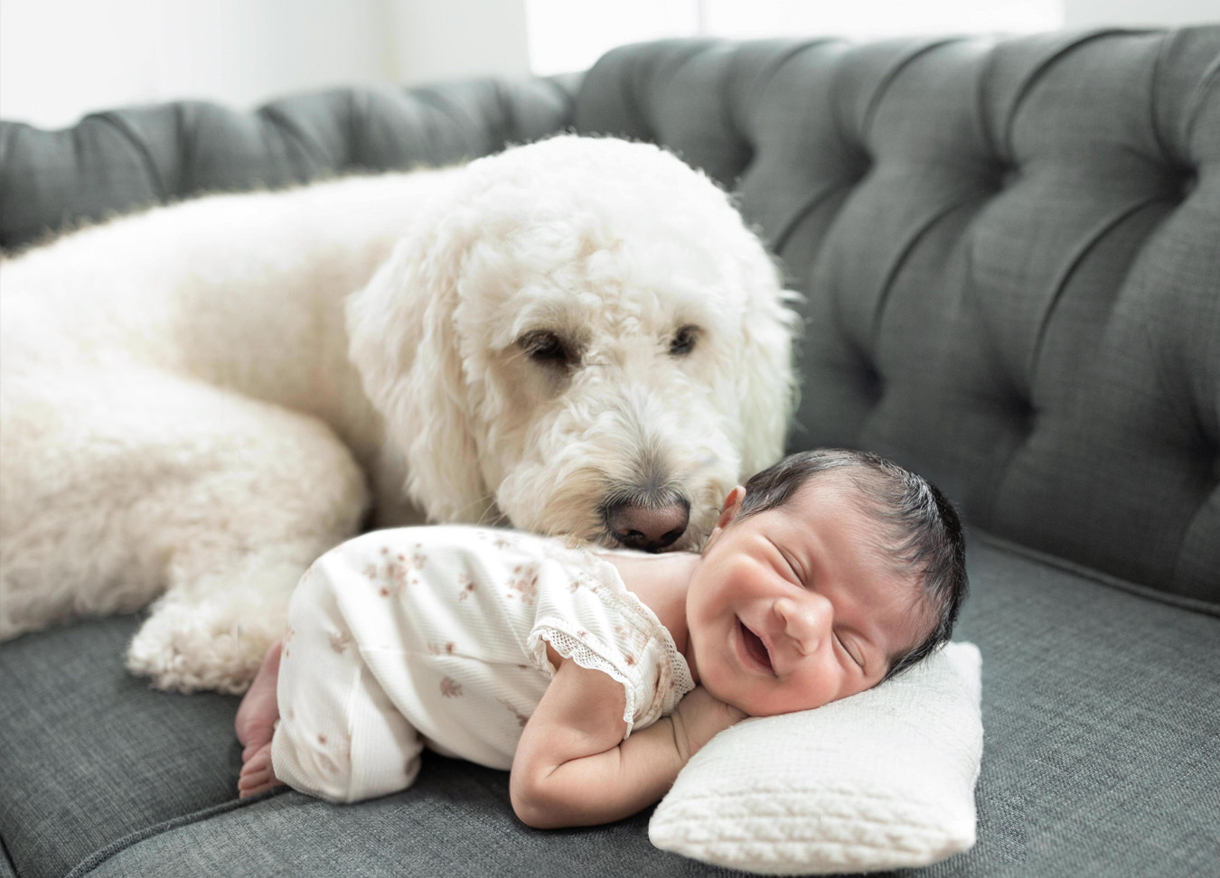 a sweet newborn smile and a dog sniffing her photographed by a newborn photographer in D.C.