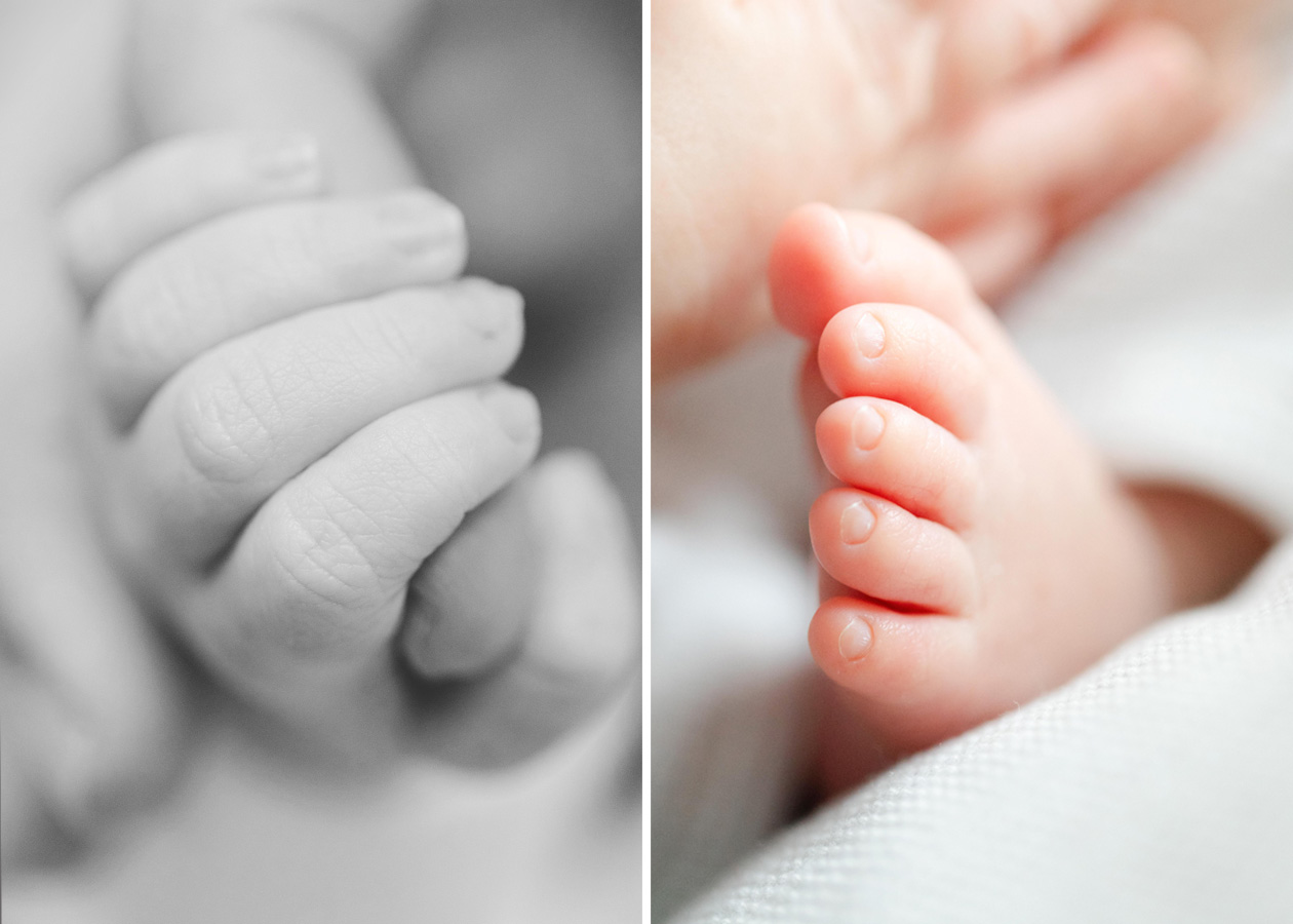 baby fingers and feet captured by a Washington D.C. newborn photographer