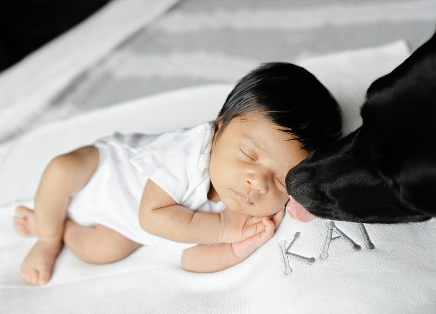 newborn sleeping while his dog gives him a kiss captured by a newborn photographer in Northern Virginia