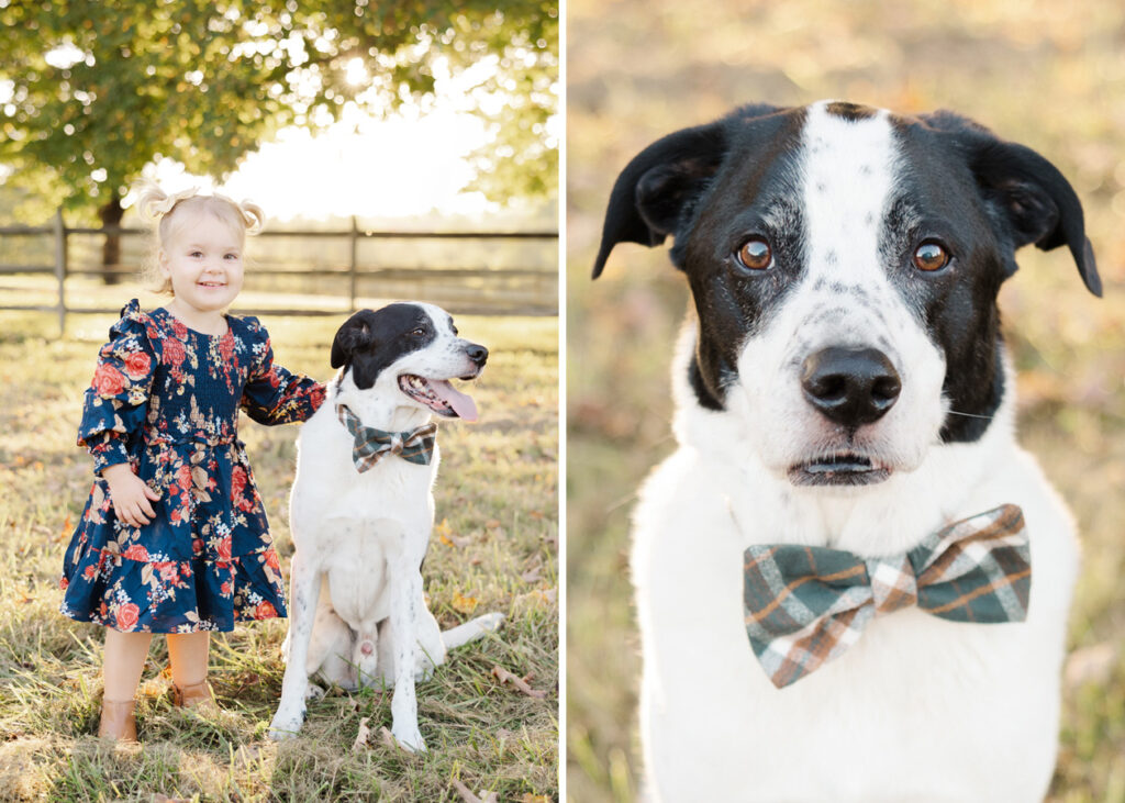 How To Take Better Photos Of Your Kids featuring a Northern Virginia Family Photographer