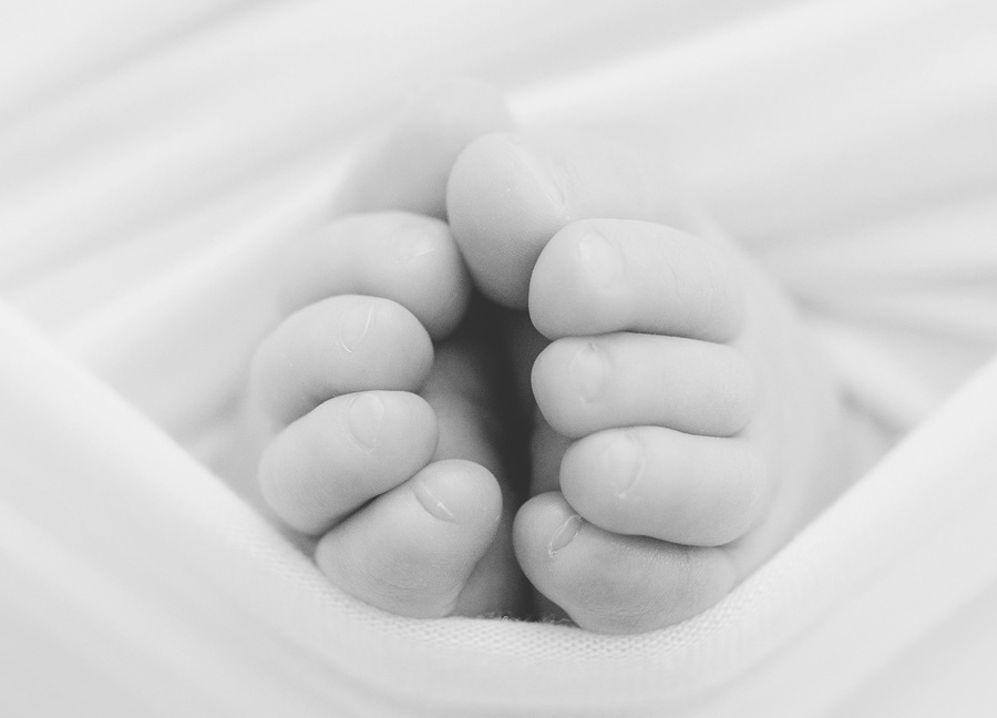 how much does newborn photography cost?