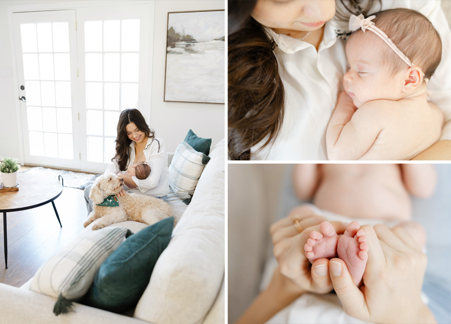 A new mom sitting on her sofa with her dog and newborn baby during their in-home newborn session