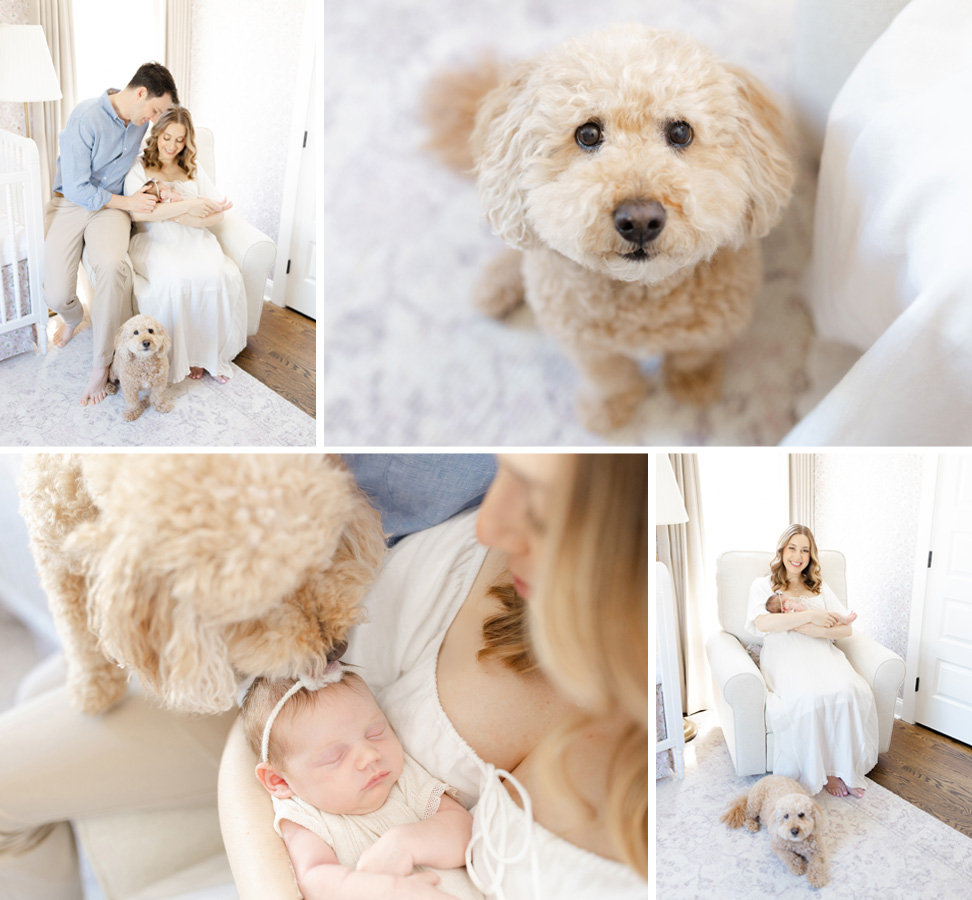 This collage features heartwarming moments of a young family with their newborn baby and fluffy dog, including scenes of gentle interaction and affectionate bonding. The dog is seen lovingly watching over and even kissing the baby, creating a tender and peaceful atmosphere in a bright, cozy nursery.