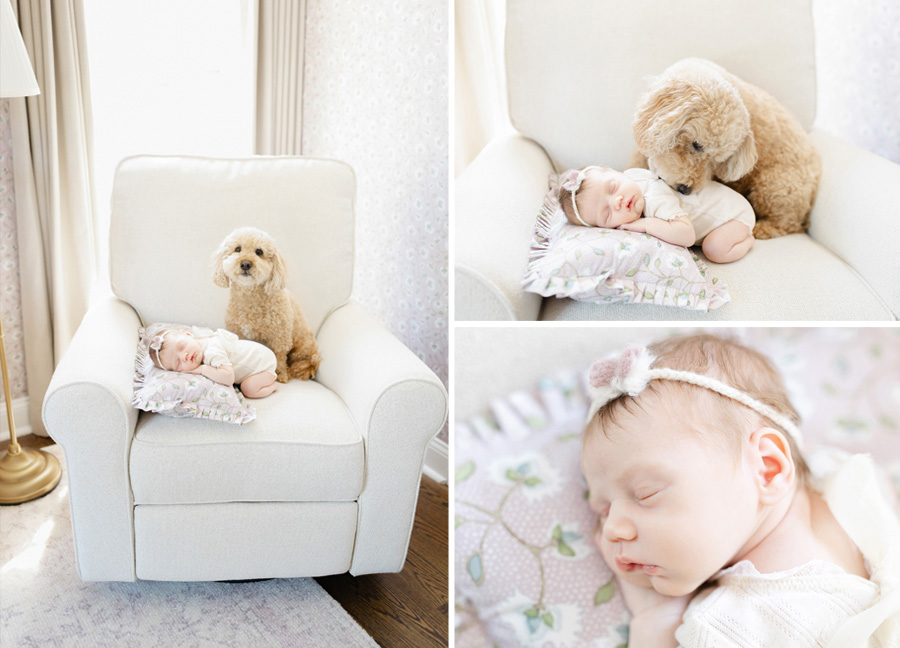 A newborn baby sleeps peacefully on a floral pillow placed on an ivory rocking chair, while a small, curly-haired dog sits beside her, gently watching over her. The collage includes close-up shots of the baby’s serene face and a tender moment where the dog lovingly sniffs her head. The setting is bright and cozy, filled with soft natural light.